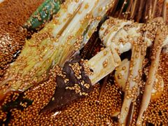 红油味钵钵鸡-嘉州叶婆婆钵钵鸡(建设路店)