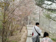-崂山巨峰游览区