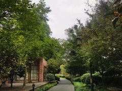 -杭州半山国家森林公园