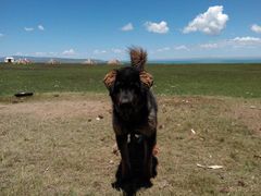 -青海湖国家重点风景名胜区