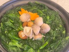-潮江春(阳光店)