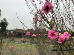 -洪湖家庭农场·团建·露营·会议