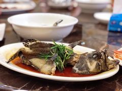 清蒸石斑-蚝专家(北滘店)