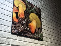 -菌乡缘·野生菌蒸汽鱼火锅(江边夜市店)