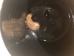 -宽窄巷子老火锅