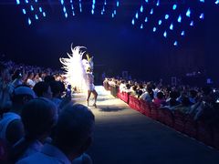 -三亚千古情景区游客中心-接待中心