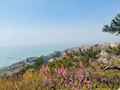 -青岛海滨风景区小鱼山