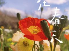 -名花谷生态庄园