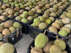 -Olé精品超市(沈阳万象城店)