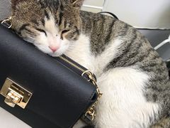 -UNI UNI(环亚凯瑟琳店)