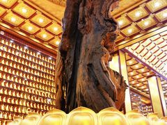 -江阴君山寺