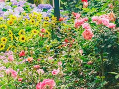 -人民公园(罗湖区)