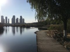 -前关湿地公园