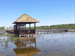 -西青郊野公园