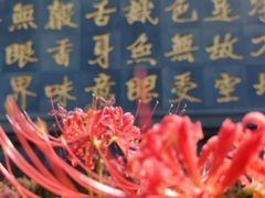 -西安大兴善寺