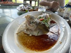 -八仔大富楼·河鲜(西江店)