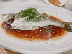 清蒸鲈鱼-天天渔港(杏林街店)