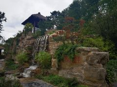 -东平国家森林公园