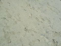 android_upload_pic-库塔海滩