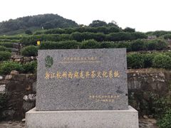-龙井村