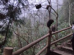 -九峰山