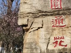 -昆明动物园