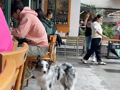 -RAC BAR(安福路店)