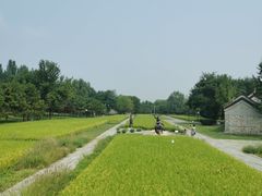 -北坞公园