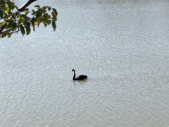 -艾溪湖湿地公园