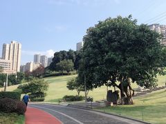 -龙头寺公园