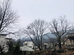 -塔川景区