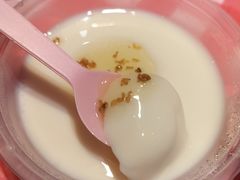 -龙师傅卤炒(天马店)