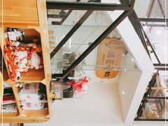 -酷豆宠物咖啡·宠物美食·撸猫馆