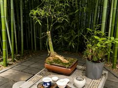 -王府茶楼茶宴·创意菜(朝阳公园店)