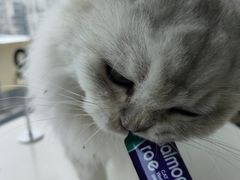 -怪兽屋·羊驼·猫咖·狗咖(俊华广场店)