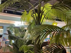 -春润大地海南椰子鸡(沙井京基百纳广场店)
