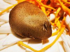 -太古汇海鲜姿造(延寿店)