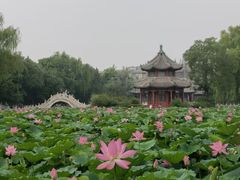 -莲池书院博物馆