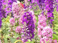 -人民公园(罗湖区)