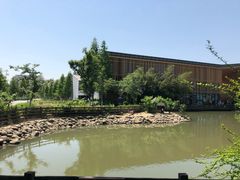 -田园东方蜜桃村的田野营地