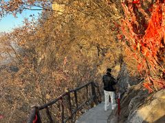 -秦岭终南山世界地质公园翠华山景区