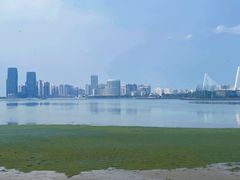 -万绿园