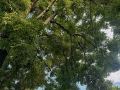 -恭王府博物馆