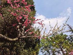 -白塘生态植物园
