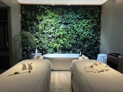 -VELEE·SPA高定疗愈会所