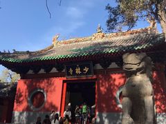 景点-少林寺景区