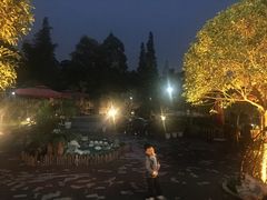 -森居forest休闲咖啡聚集地