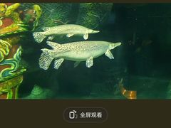 -南昌动物园