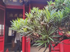 -狼山风景名胜区