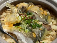 塔吉锅豆酱黄花鱼-黑明餐厅(白鹭洲店)